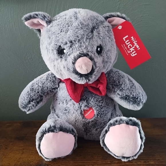 PetSmart Plush Dog Toy Lucky Teddy Bear Gray Squeaker Stuffed Animal NWT - Picture 1 of 6
